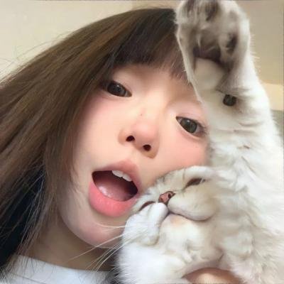 空中的飞鸟